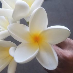 Meet your Posher, Russell